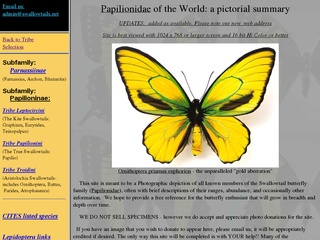Papilionidae of the World: a pictorial summary