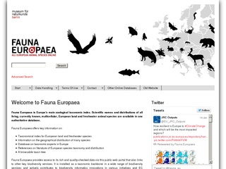 Fauna Europaea: Name Search