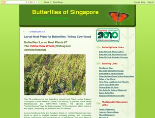 Butterflies of Singapore