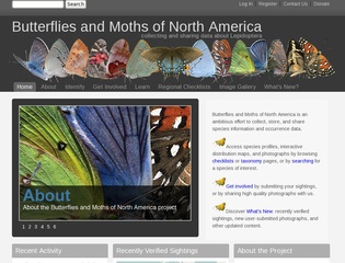 Butterflies and Moths of North America