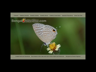 BengalButterflies