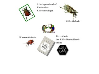 Koleopterologie.de