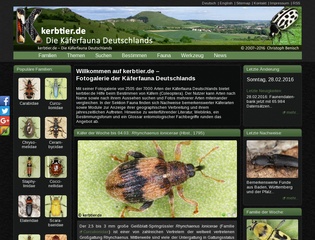 Die Käfer Deutschlands