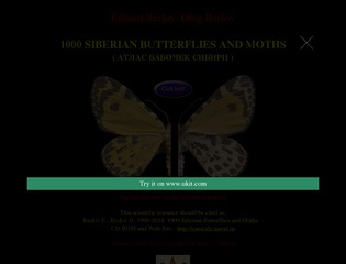 1000 sibirische Schmetterlinge