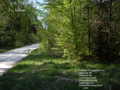 Fluggebiet